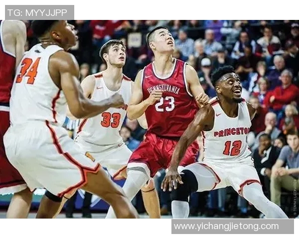 王泉泽：从青年才俊到篮球场上的新星崛起之路