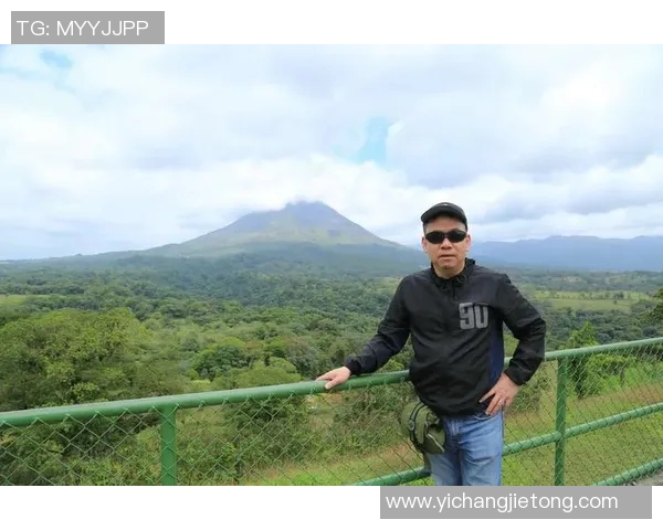 瑞士与哥斯达黎加比赛中黄牌数量统计及分析