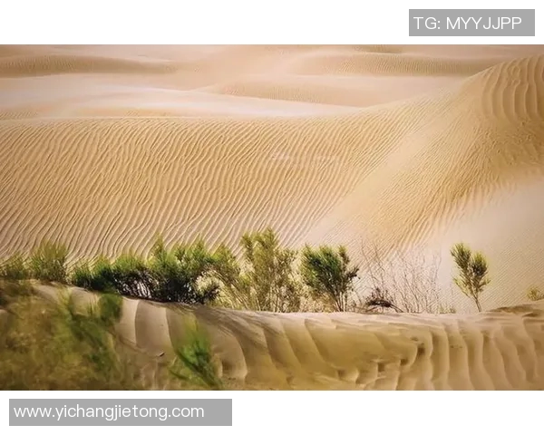 探索阿拉巴的独特魅力与文化遗产，揭开这片神秘土地的历史面纱